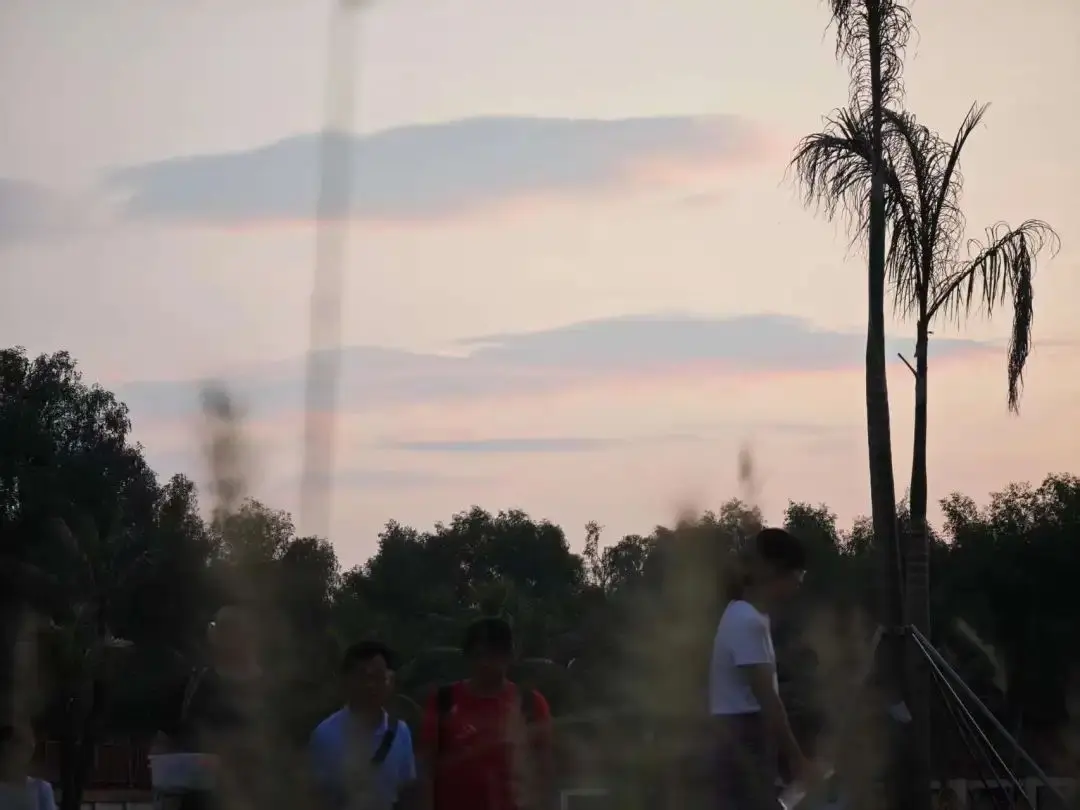 图片里藏着一段关于「隐藏与表白」的心事，点击即可轻轻开启～